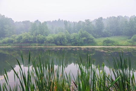 Fog above forest lakeの写真素材