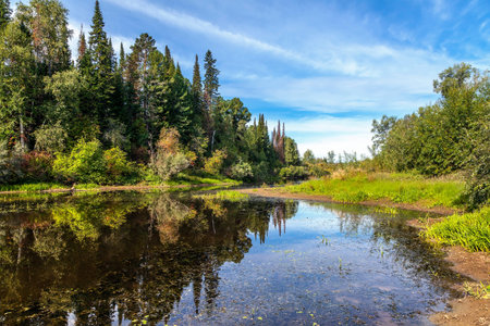Beautiful summer landscape with a forest lake