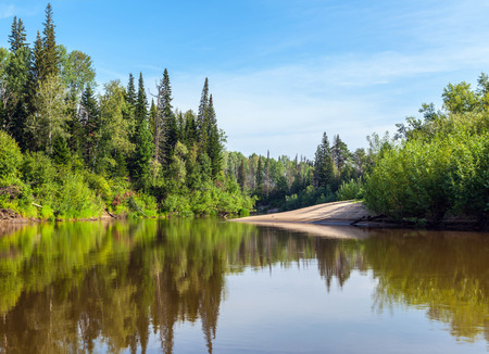 Summer in Siberia.の写真素材