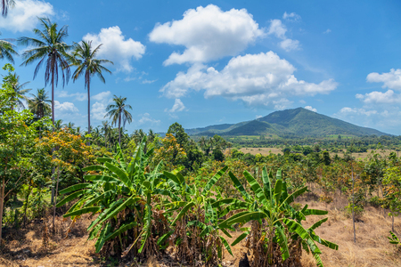 Panorama of Koh Samui. Thailand.の写真素材