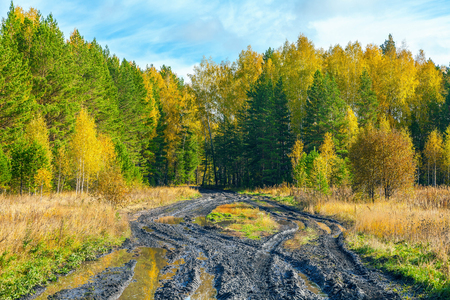 Autumn landscapeの写真素材