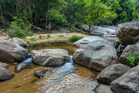 The tropical nature of the island of Koh Samui.の写真素材