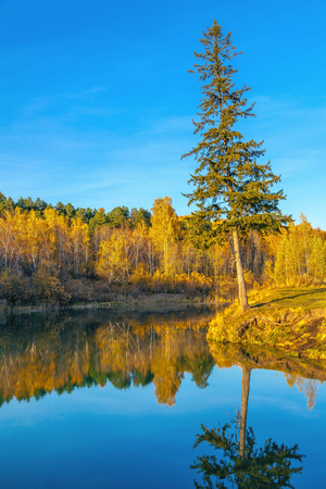 Autumn in Siberiaの写真素材