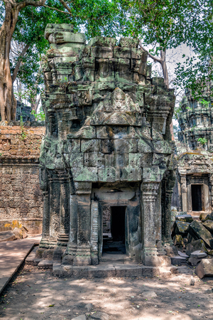 The ruins of Ta Prohm Temple in Cambodiaの写真素材