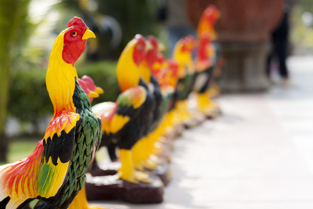 The line of chickenの写真素材