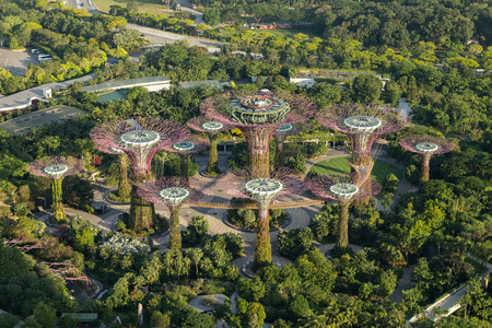 Top view of Garden by the Bayのeditorial素材