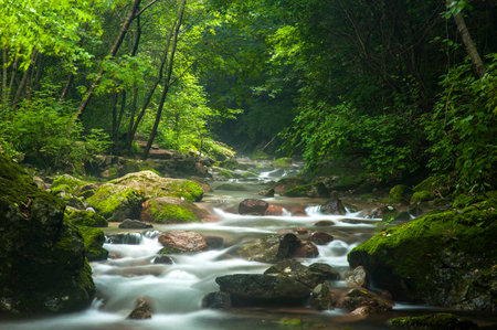 Green Valleyの写真素材