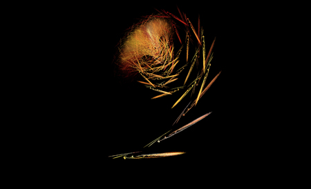 abstract computer generated fractal design. A fractal is a never-ending pattern. Fractals are infinitely complex patterns that are self-similar across different scales.の写真素材