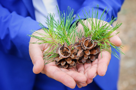 wedding rings in a man's hand close-upの写真素材