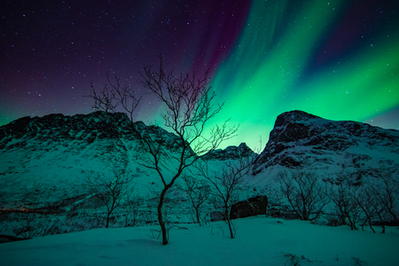 Northern lights  - aurora - in norwegian mountains in winterの写真素材