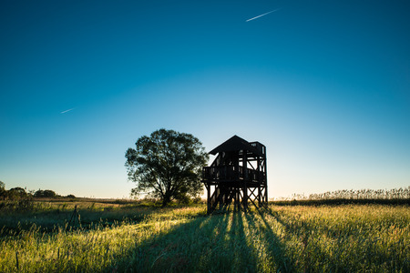 Observation tower while sunrise for ornitology and photographersの写真素材