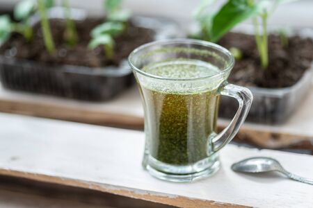 A glass of freshly brew herbs served outside as healthy mealの写真素材