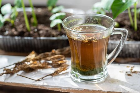 A glass of freshly brew herbs served outside as healthy mealの写真素材