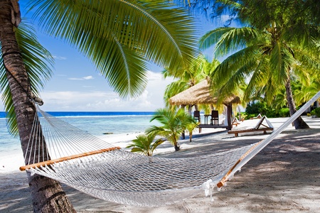 Empty hammock between palm trees on tropical beachの写真素材