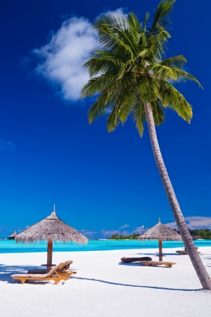 Deck chairs under umrellas and palm trees in Maldivesの写真素材