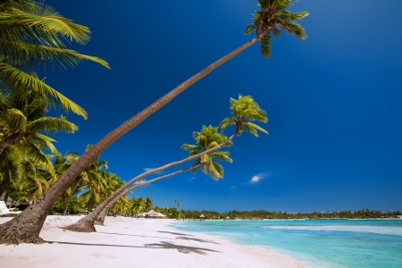 Few palm trees over stunning tropical lagoon with white beachの写真素材