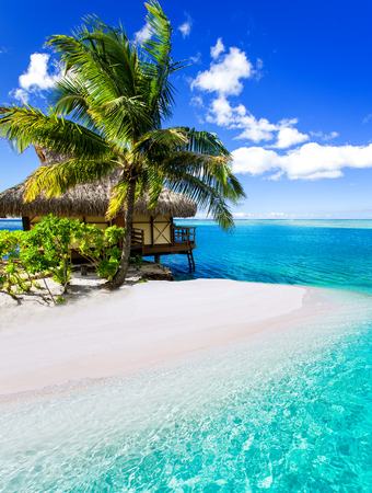 Tropical villa and palm tree next to amazing blue lagoonのeditorial素材