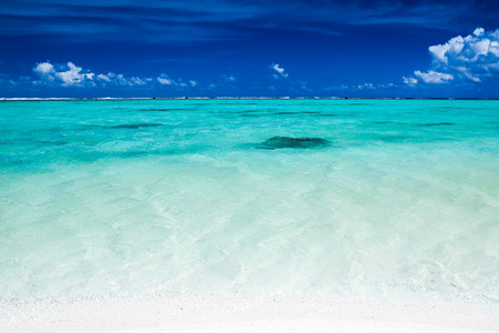 Tropical ocean with blue sky and vibrant ocean colors with coralの写真素材