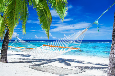 Empty hammock between palm trees on tropical beachの写真素材