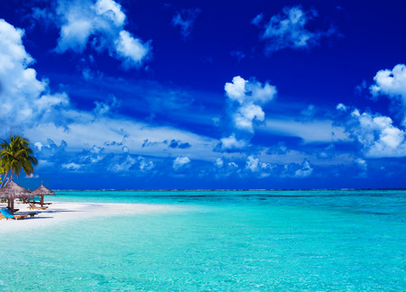 Palm trees over stunning lagoon and white sandy beachの写真素材