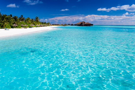 Tropical island with sandy beach with palm trees and pristine waterの写真素材
