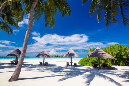 Deck chairs under umrellas and palm trees on a tropical beachの写真素材