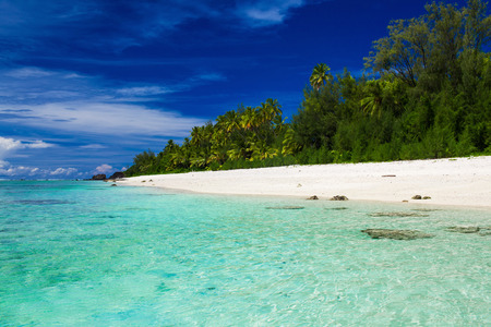 The best swimming beach with palm trees on tropical island Rarotonga, Cook Islandsの写真素材