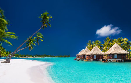 Beach villas on a tropical island with palm trees and white sandy beach