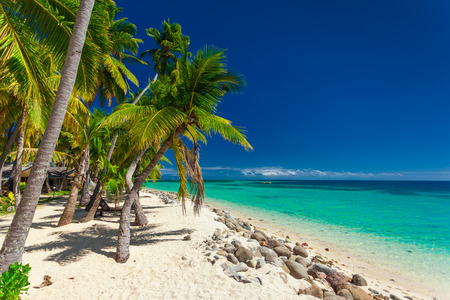 Tropical beach with coconut palm trees and clear lagoon on Fiji Islandsの写真素材