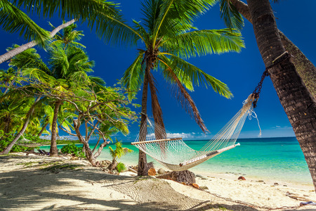 Empty hammock in the shade of palm trees on tropical Fiji Islandsの写真素材