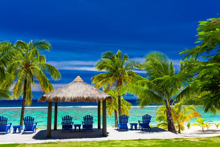 Blue chairs on a beach front of tropical island with palm treesの写真素材