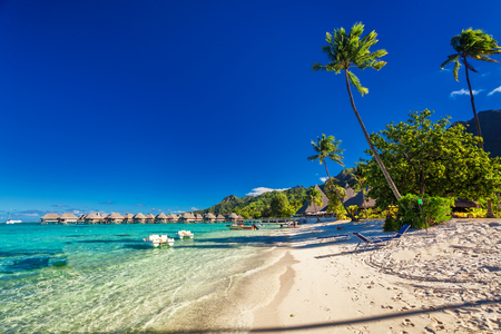 Tropical resort with sandy beach and palm trees on Moorea, French Polynesiaの写真素材