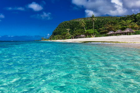 Tropical vibrant natural beach on Samoa Island with palm trees and wooden falesの写真素材