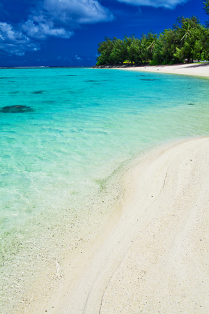 The best swimming beach with palm trees on tropical island Rarotonga, Cook Islandsの写真素材