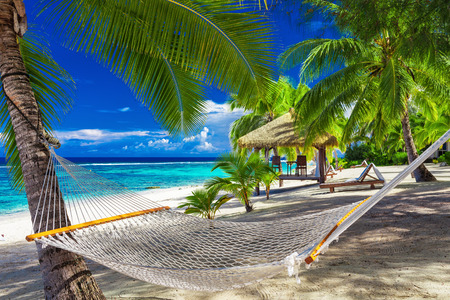 Hammock between palm trees on a vibrant tropical beach of Rarotonga, Cook Islands, South Pacificの写真素材