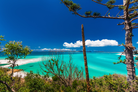 Amazing famous Whitehaven Beach in the Whitsunday Islands, Queensland, Australiaの写真素材