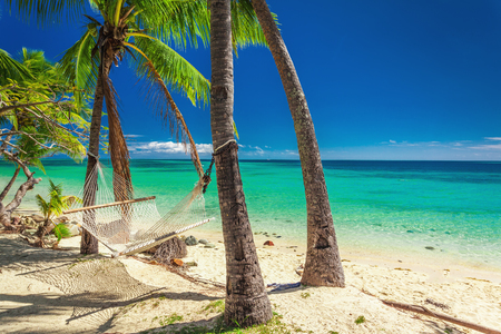 Empty hammock in the shade of palm trees on vibrant tropical Fijiの写真素材