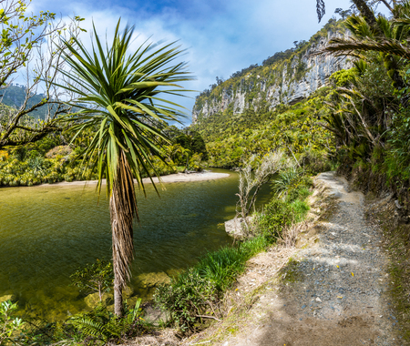 Porarari river track near Punakaiki on the West Coast, South Island, New Zealandの写真素材