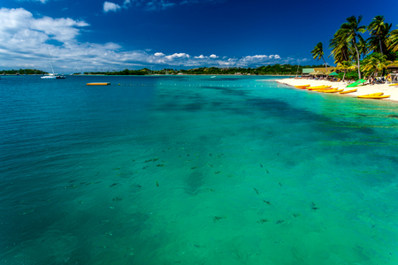 Tropical beach with coconut palm trees and clear lagoon on Fiji Islandsの写真素材