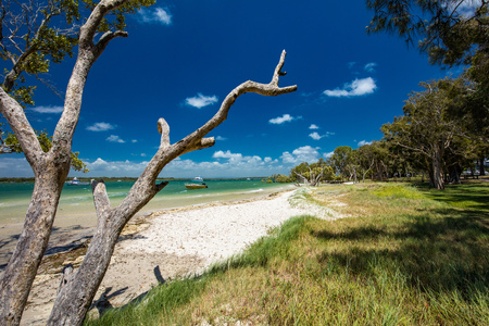 Summer tropical beach with trees on the east side of Bribie Island, Queensland, Australiaの写真素材