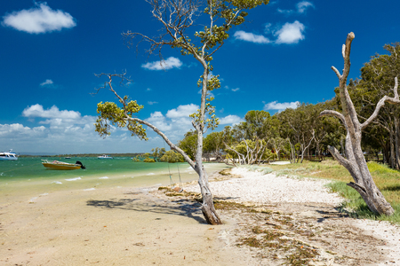 Summer tropical beach with trees on the east side of Bribie Island, Queensland, Australiaの写真素材