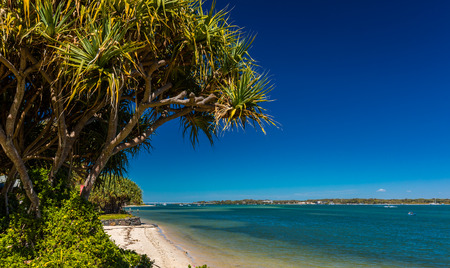 Summer beach with trees on the west side of Bribie Island, Queensland, Australiaの写真素材