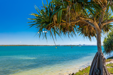 Summer beach with trees on the west side of Bribie Island, Queensland, Australiaの写真素材