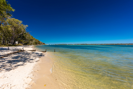 Summer beach with trees on the west side of Bribie Island, Queensland, Australiaの写真素材