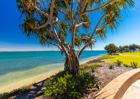 Summer beach with trees on the west side of Bribie Island, Queensland, Australiaの写真素材