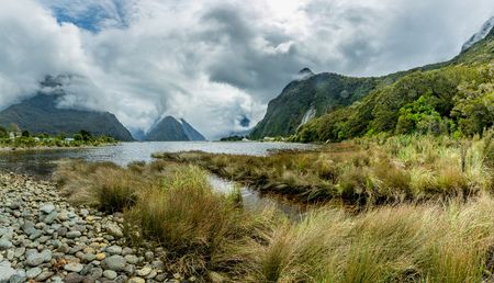 Cloudy and rainy day at amazing and vibrant Milford Sound, South Island, New Zealandの写真素材