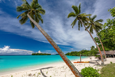 Amazing Port Orly sandy beach with palm trees, Espiritu Santo Island, Vanuatu.