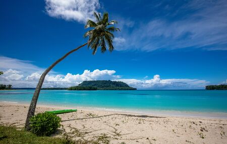 Amazing Port Orly sandy beach with palm trees, Espiritu Santo Island, Vanuatu.の写真素材