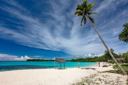 Amazing Port Orly sandy beach with palm trees, Espiritu Santo Island, Vanuatu.の写真素材