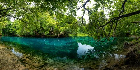 Matevulu Blue Hole, Espiritu Santa Island, Vanuatu, famous tourist destinationの写真素材